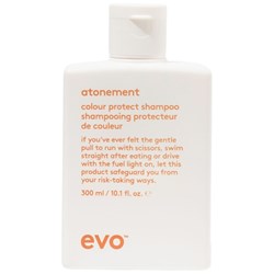 evo atonement colour protect shampoo 10.1 Fl. Oz.