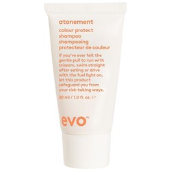 evo atonement colour protect shampoo 1 Fl. Oz.