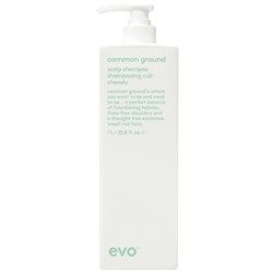 evo common ground scalp shampoo Liter