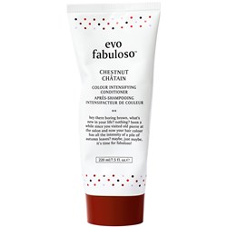 evo colour intensifying conditioner- chestnut 7.5 Fl. Oz.