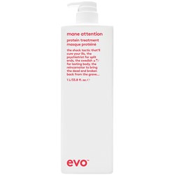 evo mane attention protein treatment Liter