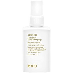 evo salty dog salt spray travel 1.7 Fl. Oz.